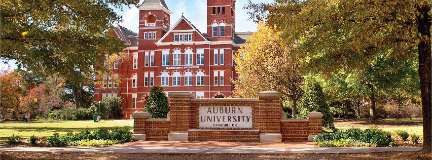 home page women s leadership institute college of liberal arts good resume sample samford hall auburn - Auburn University Resume Sample home page women s leadership institute college of liberal arts good resume sample samford hall auburn - Auburn University Resume Sample