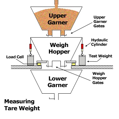A graphic describing a scale going through its normal weighing process