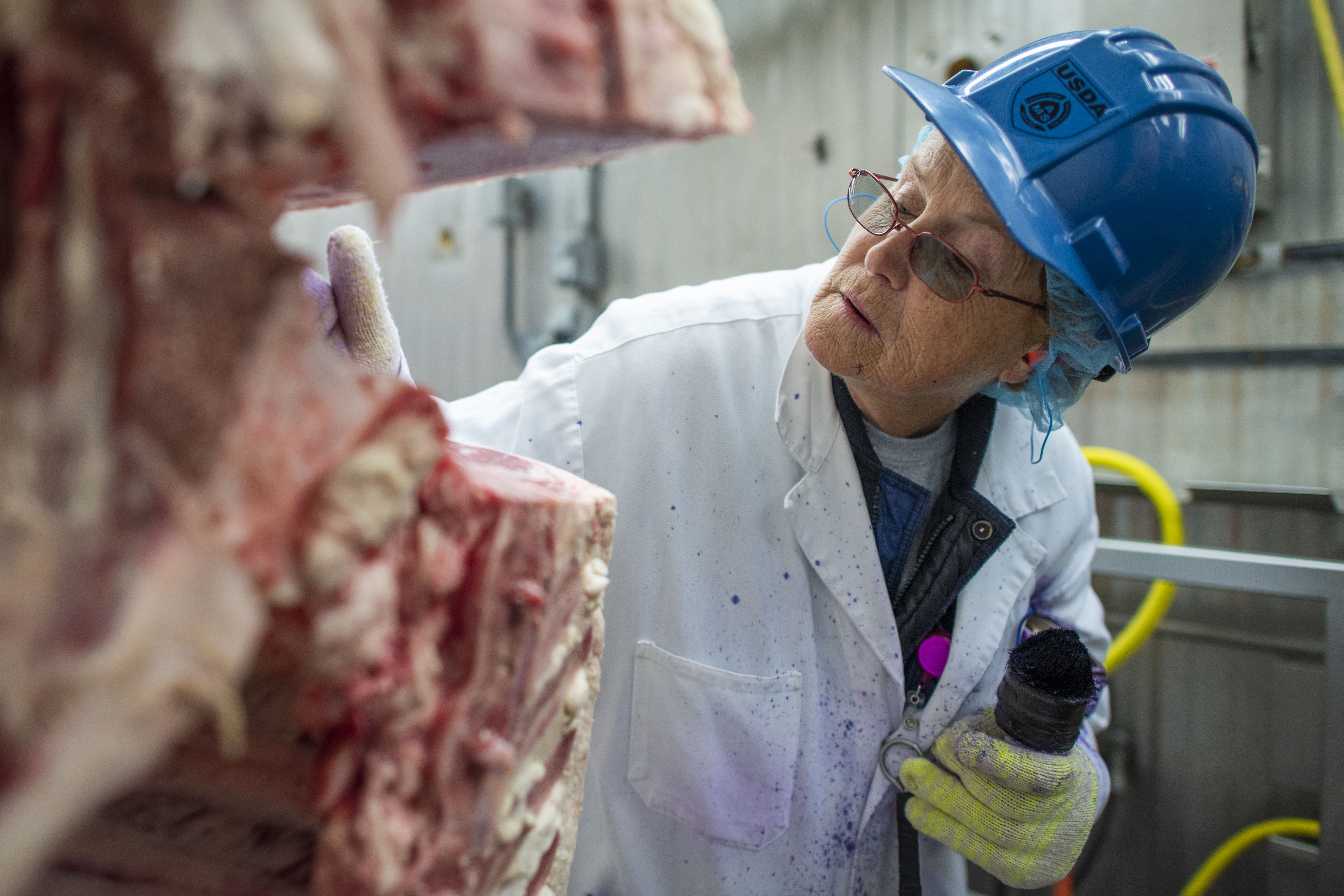 Woman in Blue hard hat and white coat closely examining a beef carcass in a plan