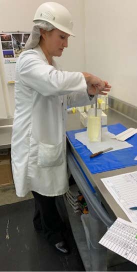 USDA Grader pulls butter plug from sample