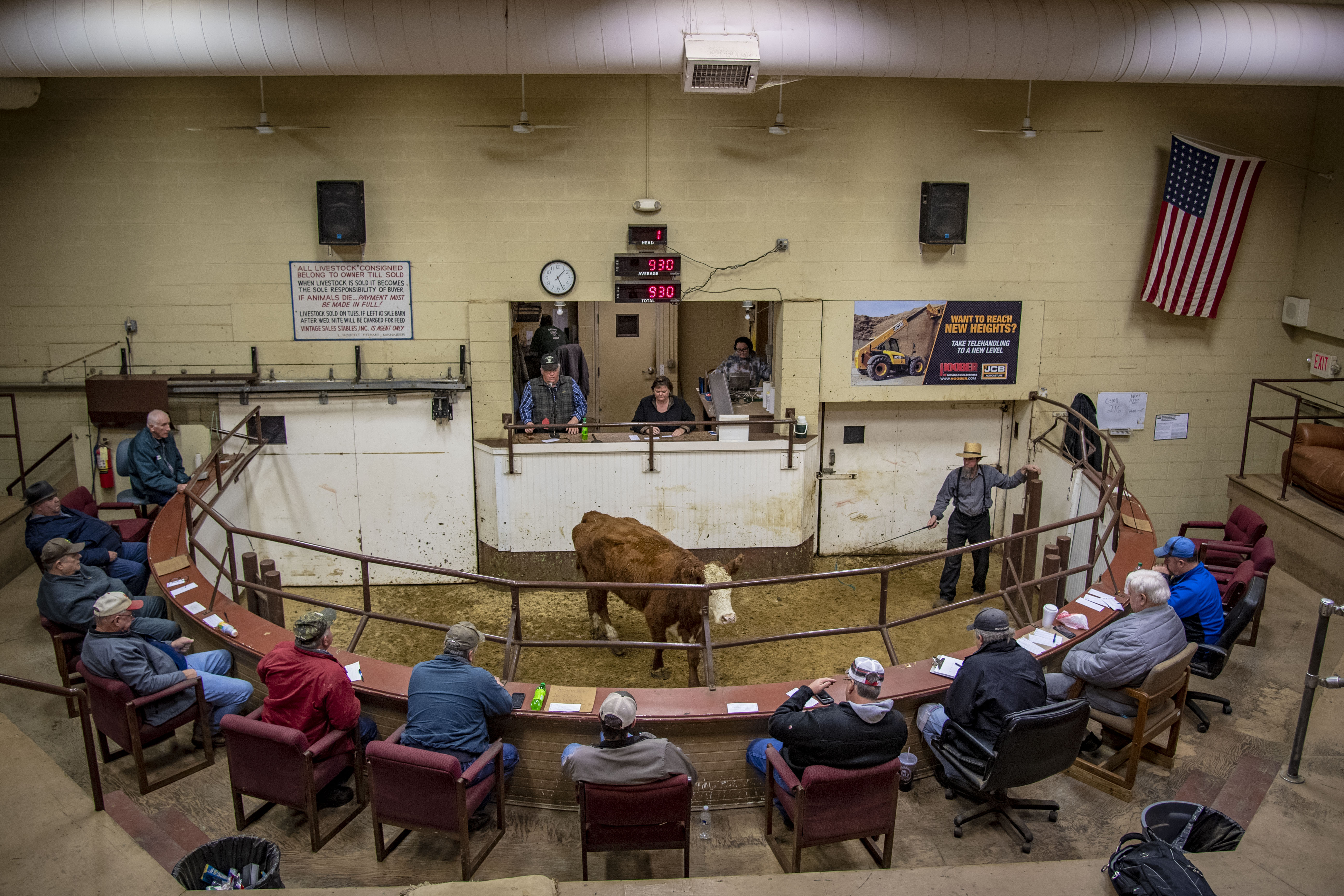 Group of MN reporters sitting around a livestock auction with a Hereford in the ring