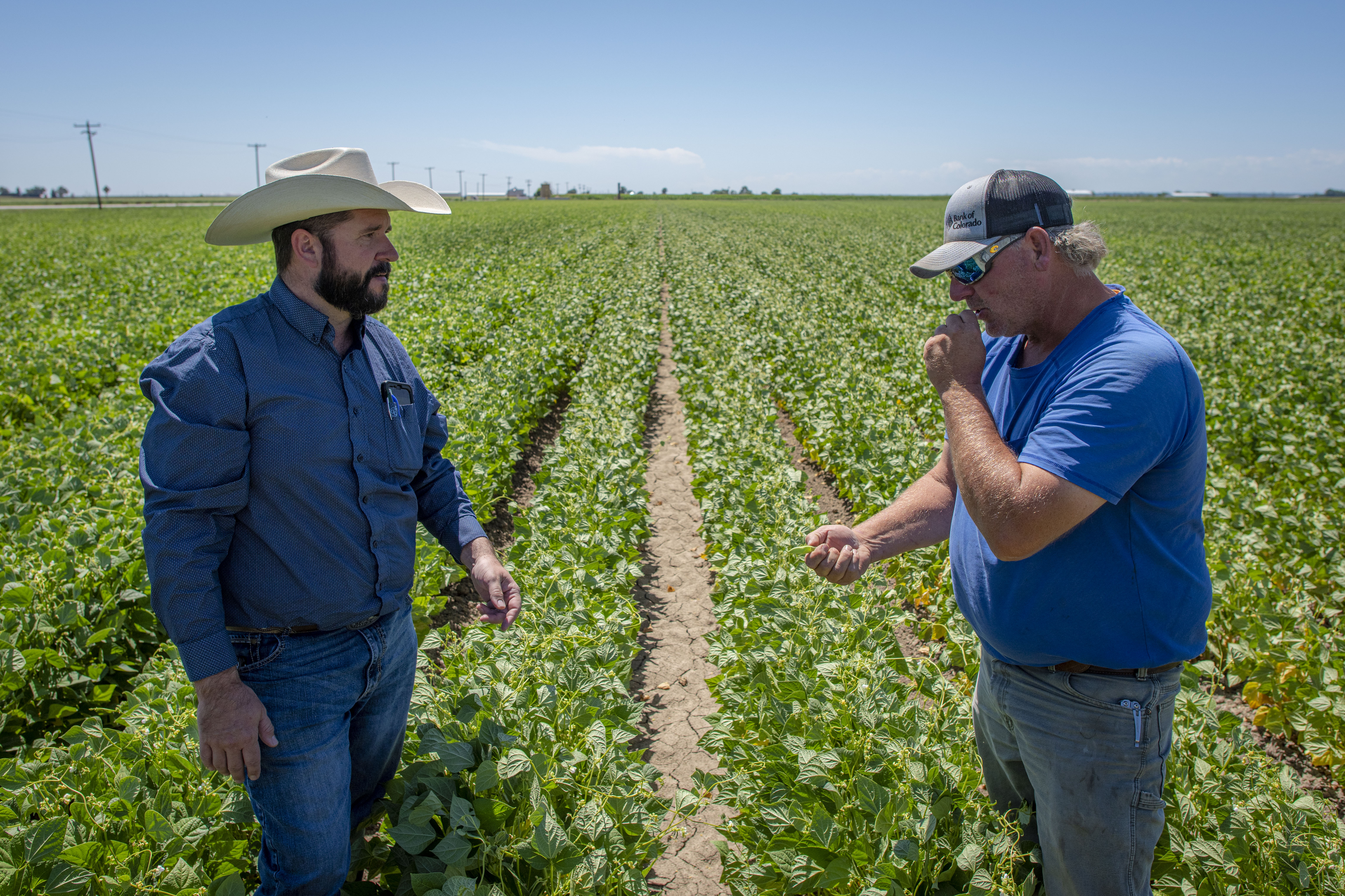 2 men in blue shirts talking in a field