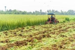 A tractor turning over a crop into the dirt