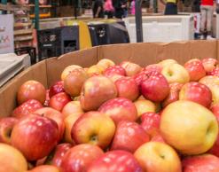 crate of apples